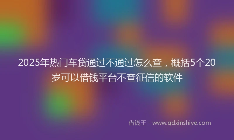2025年热门车贷通过不通过怎么查，概括5个20岁可以借钱平台不查征信的软件