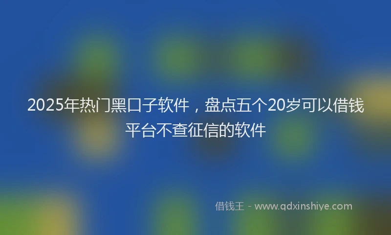 2025年热门黑口子软件，盘点五个20岁可以借钱平台不查征信的软件