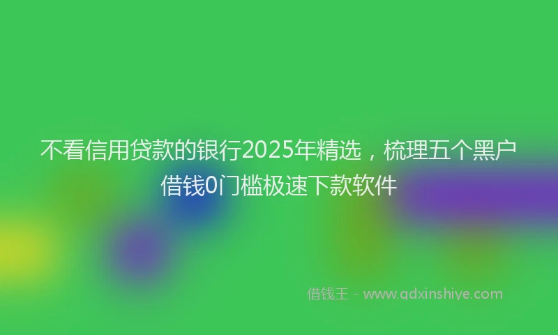 不看信用贷款的银行2025年精选，梳理五个黑户借钱0门槛极速下款软件