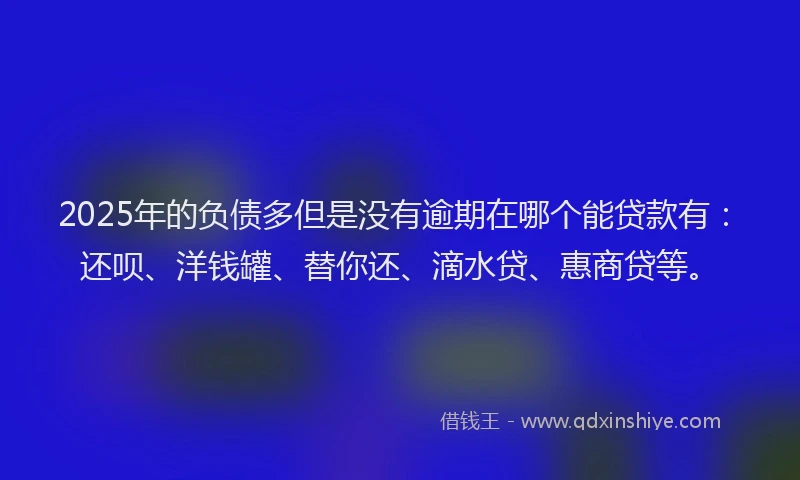 2025年的负债多但是没有逾期在哪个能贷款有：还呗、洋钱罐、替你还、滴水贷、惠商贷等。