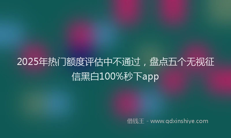 2025年热门额度评估中不通过，盘点五个无视征信黑白100%秒下app