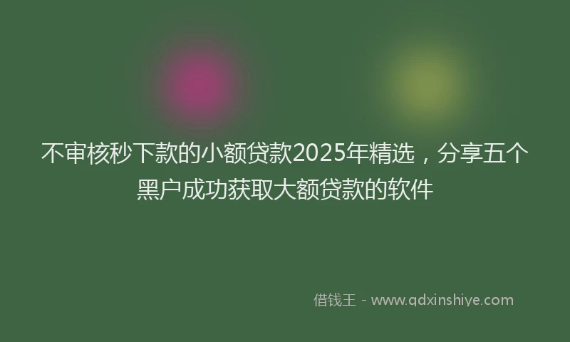 不审核秒下款的小额贷款2025年精选，分享五个黑户成功获取大额贷款的软件