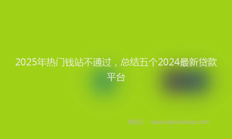 2025年热门钱站不通过，总结五个2024最新贷款平台