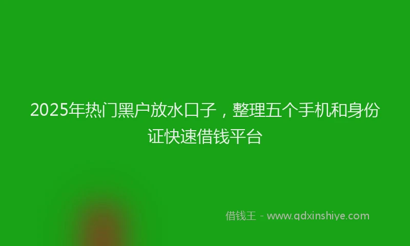 2025年热门黑户放水口子，整理五个手机和身份证快速借钱平台