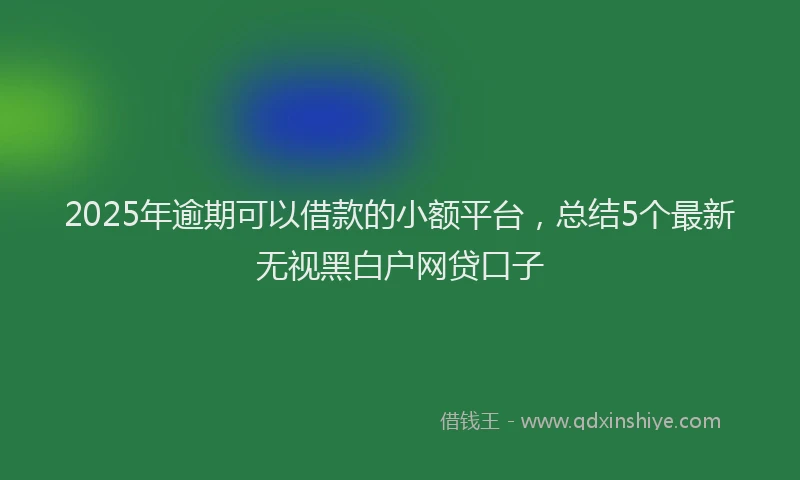 2025年逾期可以借款的小额平台，总结5个最新无视黑白户网贷口子