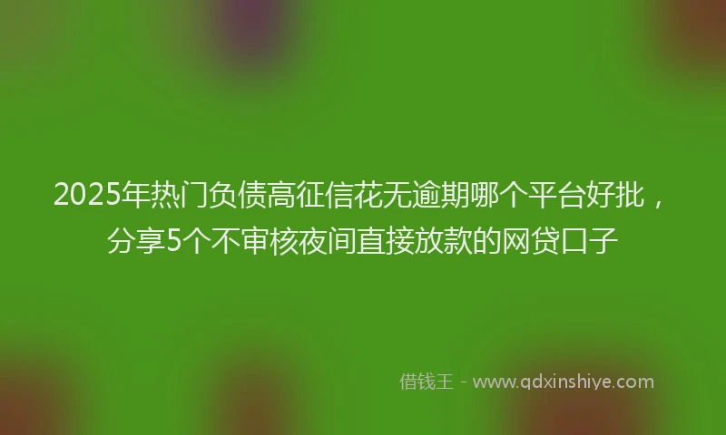 2025年热门负债高征信花无逾期哪个平台好批，分享5个不审核夜间直接放款的网贷口子