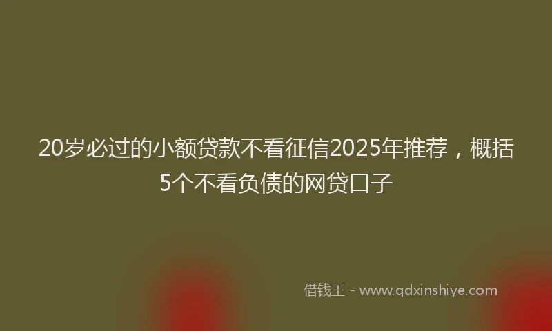 20岁必过的小额贷款不看征信2025年推荐，概括5个不看负债的网贷口子
