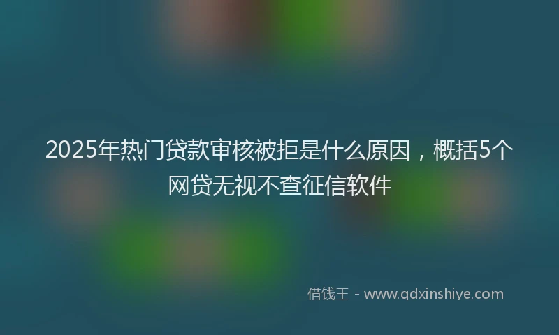 2025年热门贷款审核被拒是什么原因，概括5个网贷无视不查征信软件