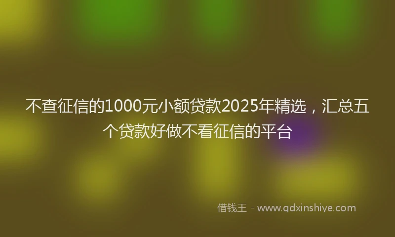 不查征信的1000元小额贷款2025年精选，汇总五个贷款好做不看征信的平台