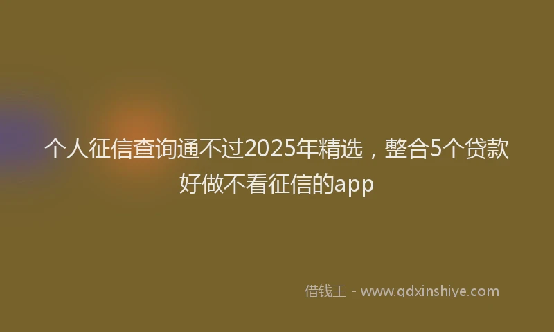 个人征信查询通不过2025年精选，整合5个贷款好做不看征信的app