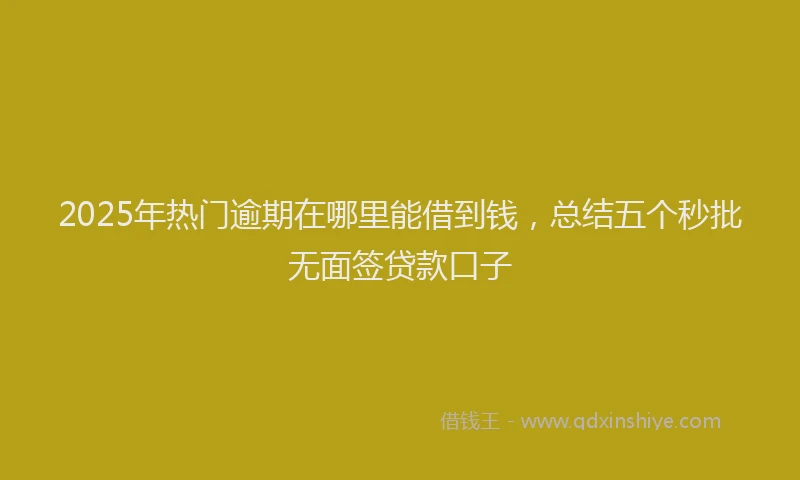 2025年热门逾期在哪里能借到钱，总结五个秒批无面签贷款口子