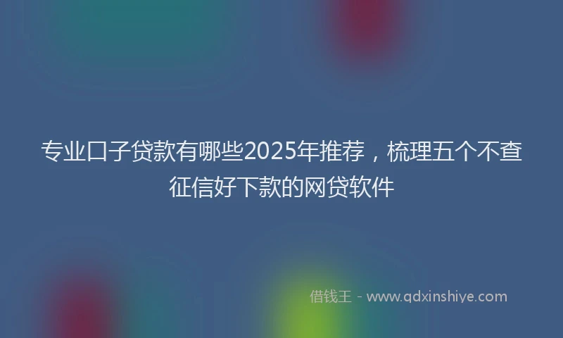 专业口子贷款有哪些2025年推荐，梳理五个不查征信好下款的网贷软件