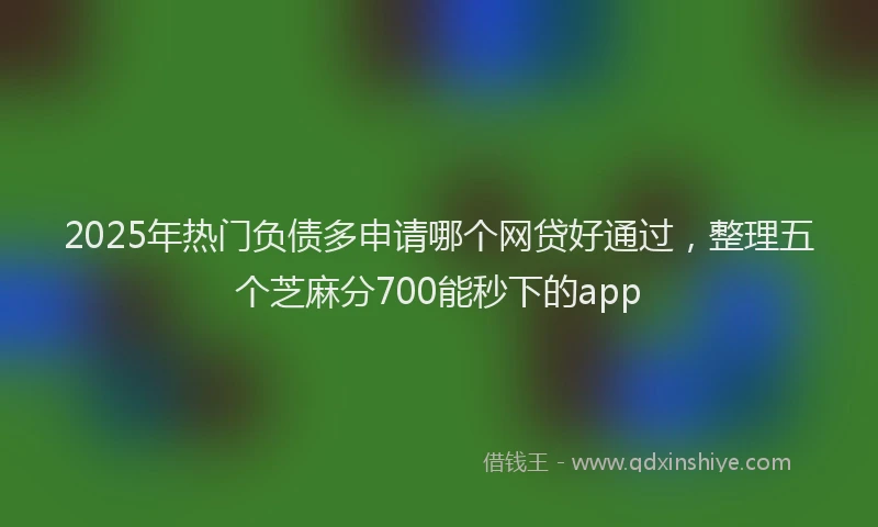 2025年热门负债多申请哪个网贷好通过，整理五个芝麻分700能秒下的app