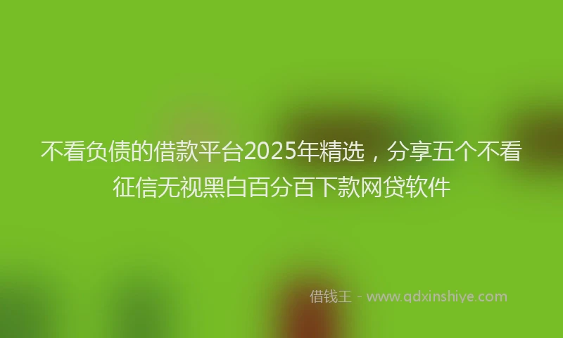 不看负债的借款平台2025年精选，分享五个不看征信无视黑白百分百下款网贷软件