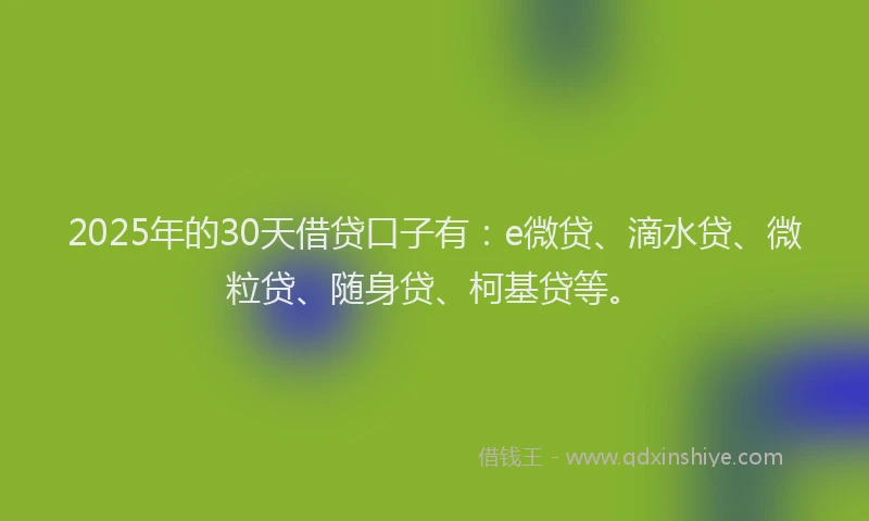 2025年的30天借贷口子有：e微贷、滴水贷、微粒贷、随身贷、柯基贷等。
