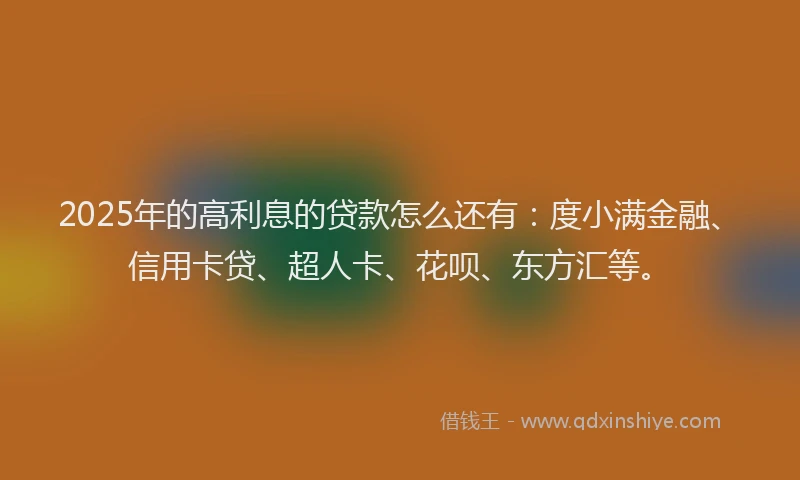 2025年的高利息的贷款怎么还有：度小满金融、信用卡贷、超人卡、花呗、东方汇等。
