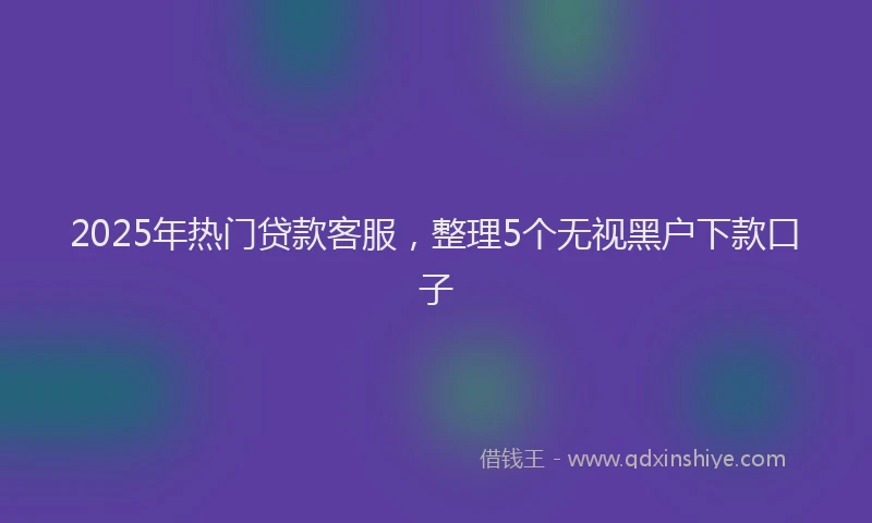 2025年热门贷款客服，整理5个无视黑户下款口子
