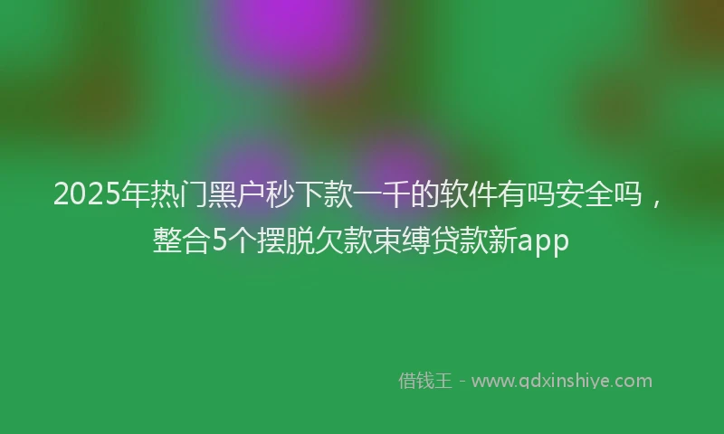 2025年热门黑户秒下款一千的软件有吗安全吗，整合5个摆脱欠款束缚贷款新app