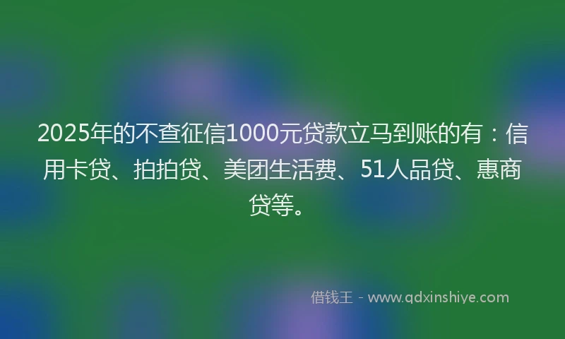 2025年的不查征信1000元贷款立马到账的有：信用卡贷、拍拍贷、美团生活费、51人品贷、惠商贷等。