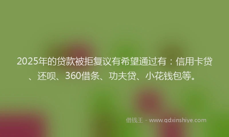 2025年的贷款被拒复议有希望通过有：信用卡贷、还呗、360借条、功夫贷、小花钱包等。