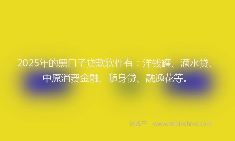 2025年的黑口子贷款软件有：洋钱罐、滴水贷、中原消费金融、随身贷、融逸花等。