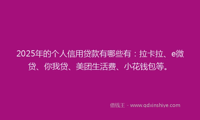 2025年的个人信用贷款有哪些有：拉卡拉、e微贷、你我贷、美团生活费、小花钱包等。