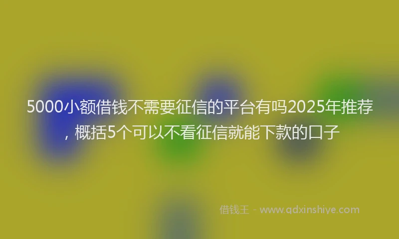 5000小额借钱不需要征信的平台有吗2025年推荐，概括5个可以不看征信就能下款的口子