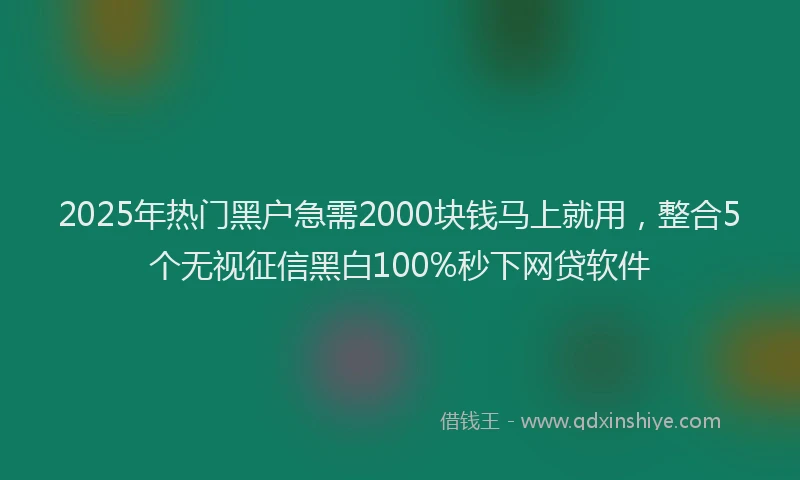 2025年热门黑户急需2000块钱马上就用，整合5个无视征信黑白100%秒下网贷软件