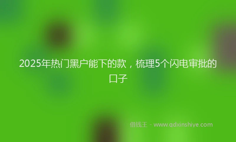 2025年热门黑户能下的款，梳理5个闪电审批的口子