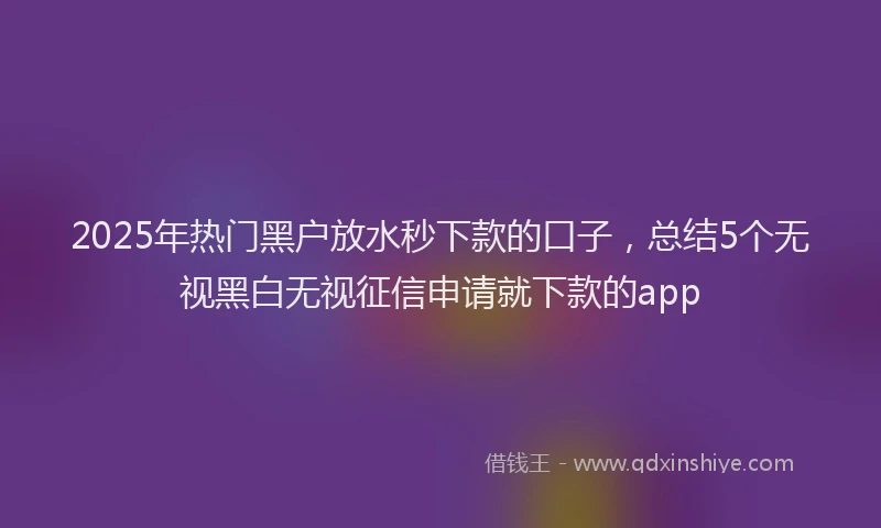 2025年热门黑户放水秒下款的口子，总结5个无视黑白无视征信申请就下款的app