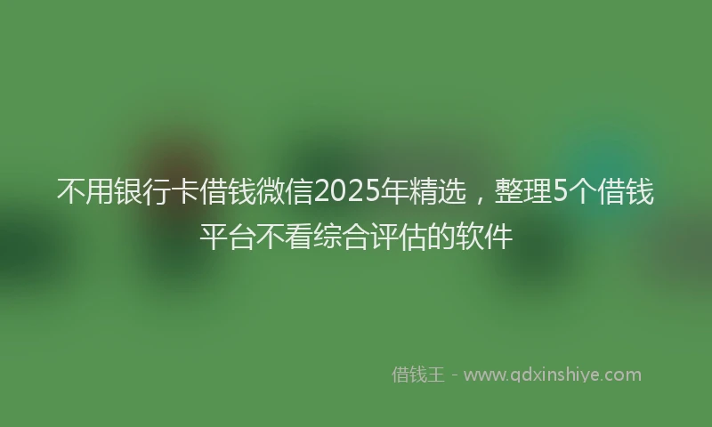 不用银行卡借钱微信2025年精选，整理5个借钱平台不看综合评估的软件