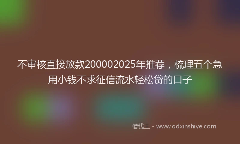 不审核直接放款200002025年推荐，梳理五个急用小钱不求征信流水轻松贷的口子