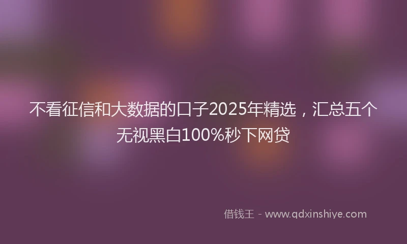 不看征信和大数据的口子2025年精选，汇总五个无视黑白100%秒下网贷