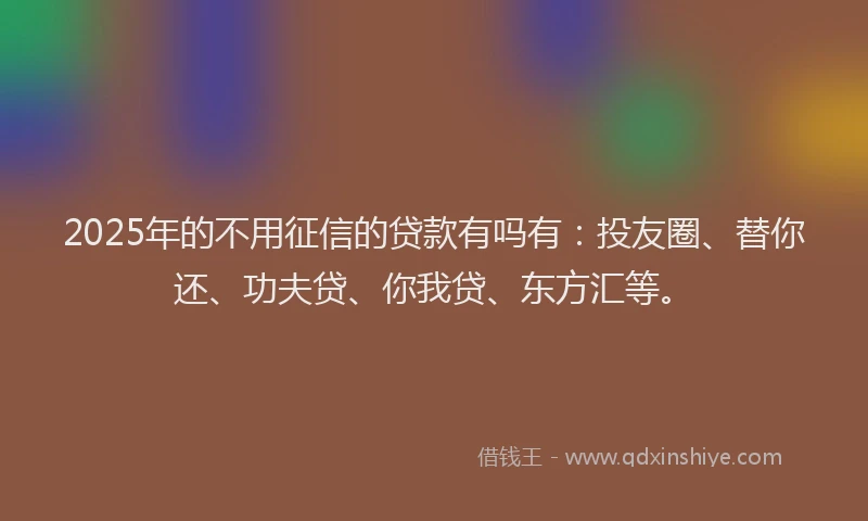 2025年的不用征信的贷款有吗有：投友圈、替你还、功夫贷、你我贷、东方汇等。