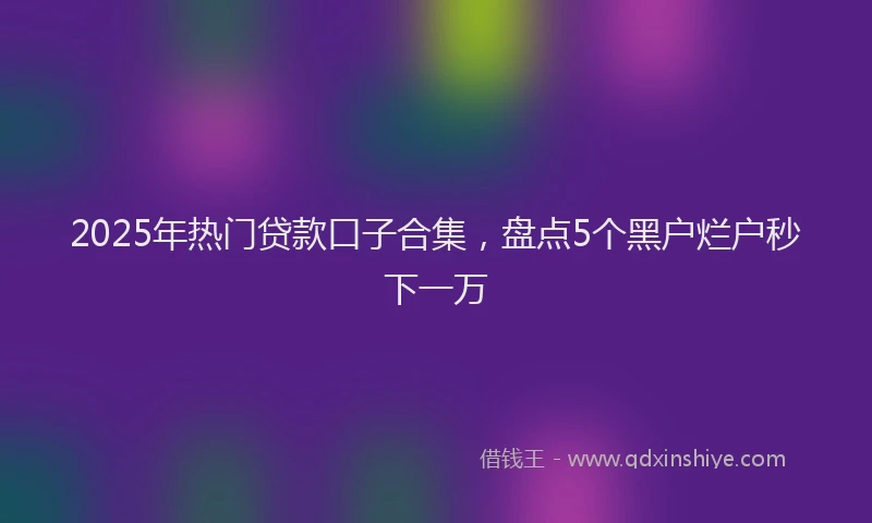 2025年热门贷款口子合集，盘点5个黑户烂户秒下一万
