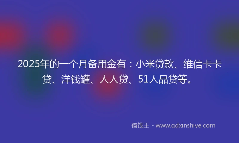 2025年的一个月备用金有：小米贷款、维信卡卡贷、洋钱罐、人人贷、51人品贷等。