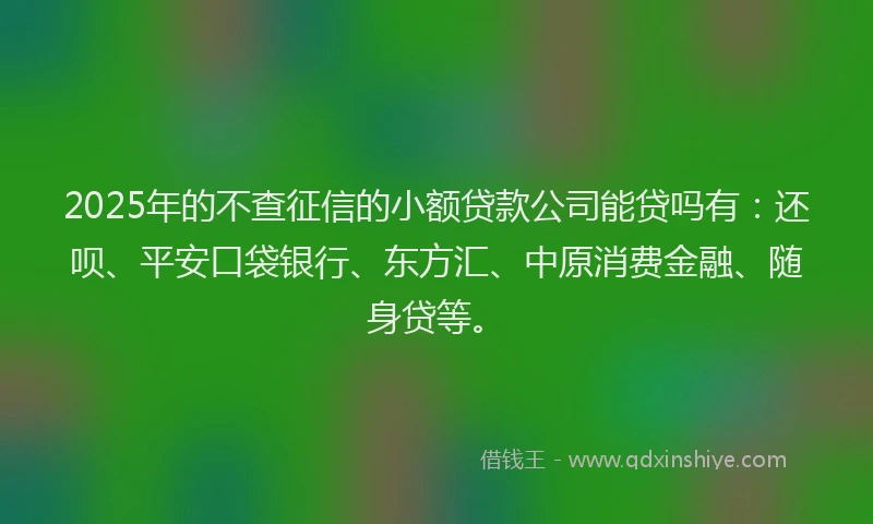 2025年的不查征信的小额贷款公司能贷吗有：还呗、平安口袋银行、东方汇、中原消费金融、随身贷等。