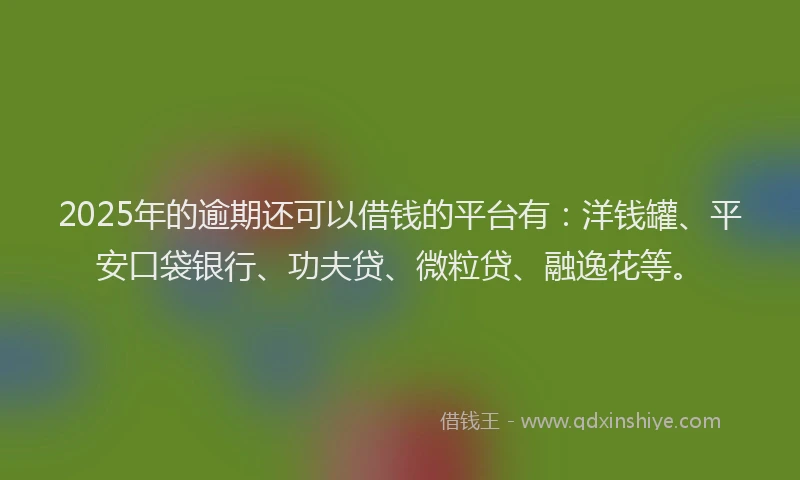 2025年的逾期还可以借钱的平台有：洋钱罐、平安口袋银行、功夫贷、微粒贷、融逸花等。