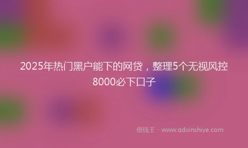 2025年热门黑户能下的网贷，整理5个无视风控8000必下口子