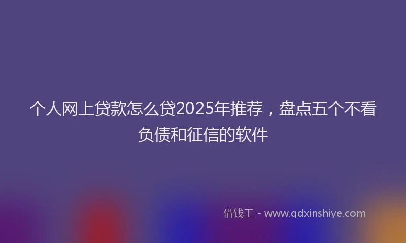 个人网上贷款怎么贷2025年推荐，盘点五个不看负债和征信的软件