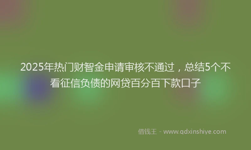 2025年热门财智金申请审核不通过，总结5个不看征信负债的网贷百分百下款口子