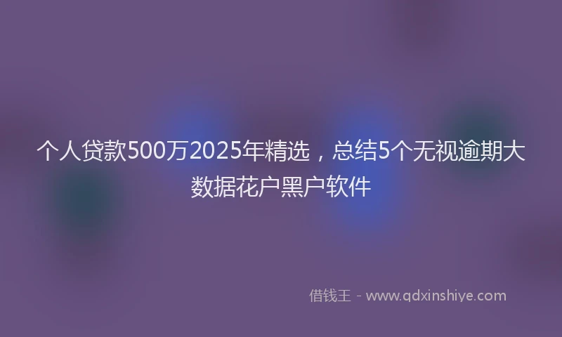 个人贷款500万2025年精选，总结5个无视逾期大数据花户黑户软件