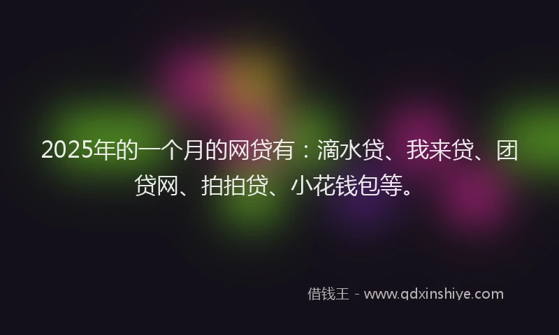 2025年的一个月的网贷有：滴水贷、我来贷、团贷网、拍拍贷、小花钱包等。