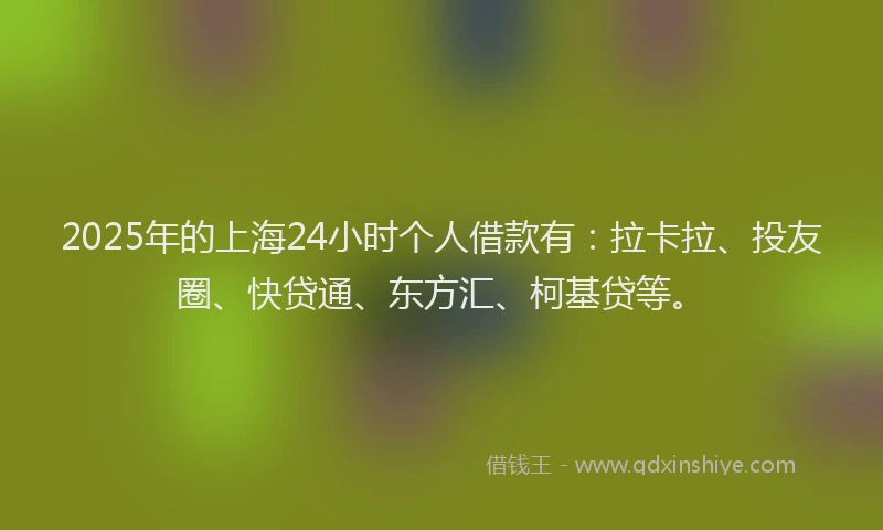 2025年的上海24小时个人借款有：拉卡拉、投友圈、快贷通、东方汇、柯基贷等。