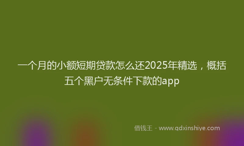 一个月的小额短期贷款怎么还2025年精选，概括五个黑户无条件下款的app