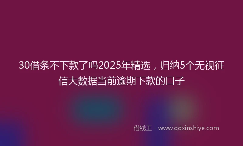30借条不下款了吗2025年精选，归纳5个无视征信大数据当前逾期下款的口子