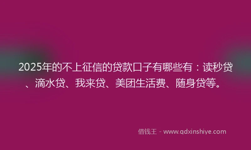 2025年的不上征信的贷款口子有哪些有：读秒贷、滴水贷、我来贷、美团生活费、随身贷等。