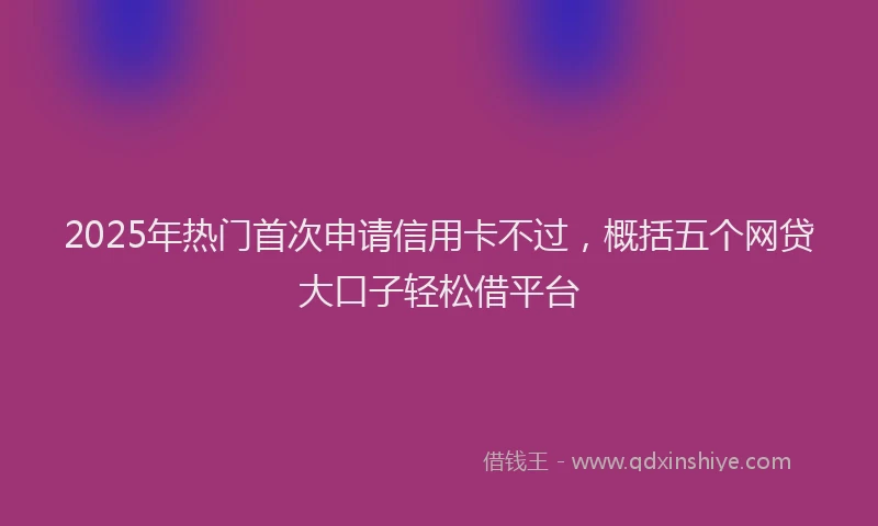 2025年热门首次申请信用卡不过，概括五个网贷大口子轻松借平台