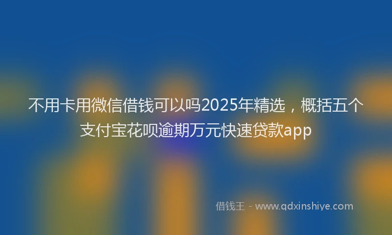 不用卡用微信借钱可以吗2025年精选，概括五个支付宝花呗逾期万元快速贷款app