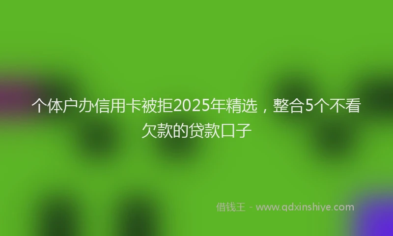 个体户办信用卡被拒2025年精选，整合5个不看欠款的贷款口子